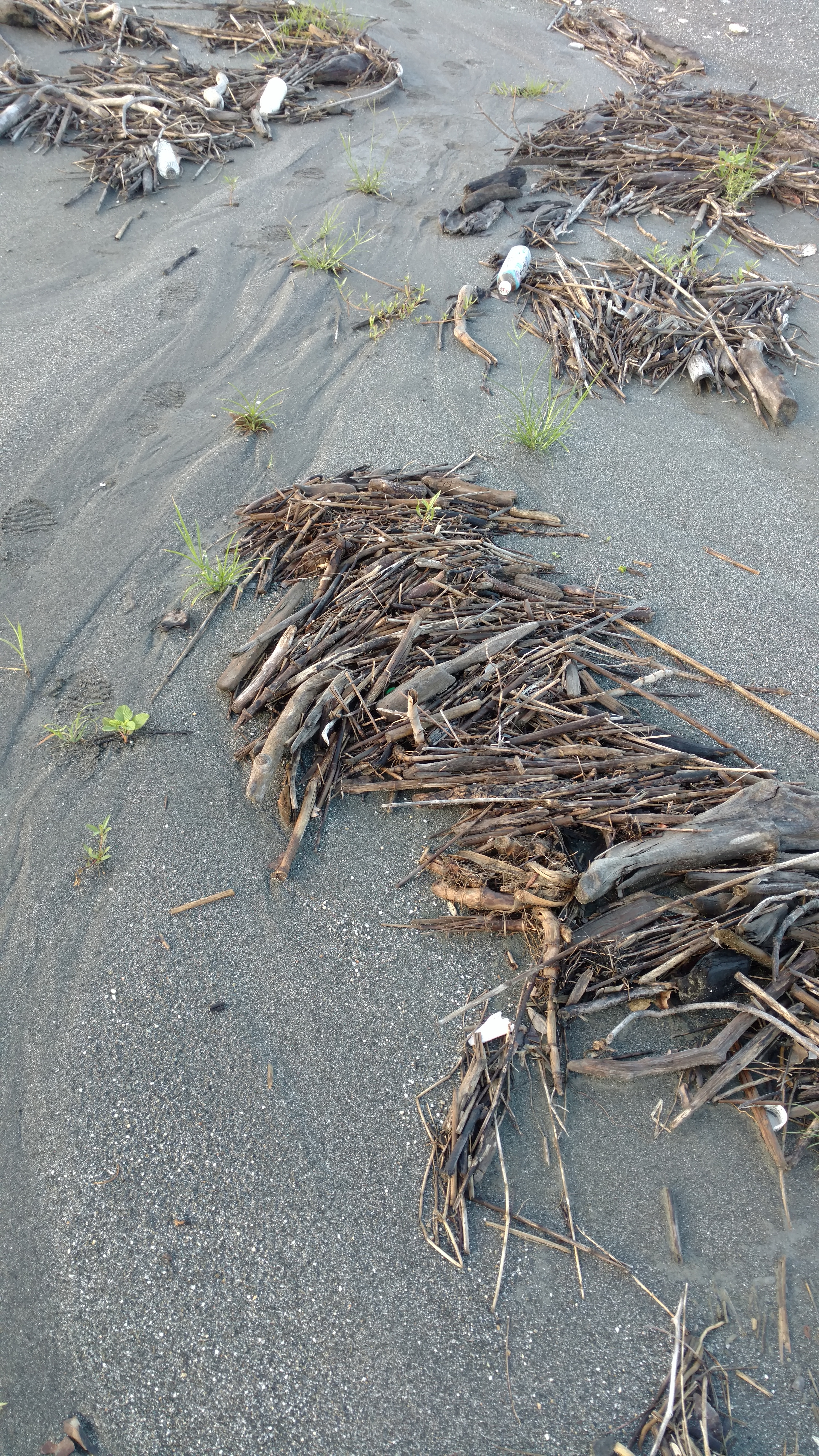 IMG_20170607_062727489