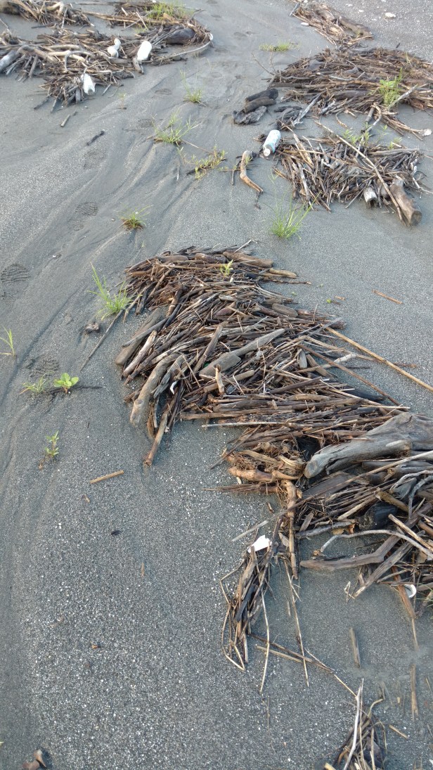 IMG_20170607_062727489